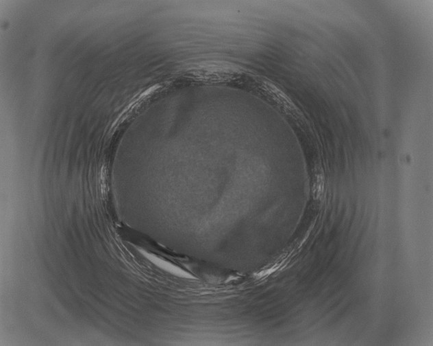 X0000083051108200702161724