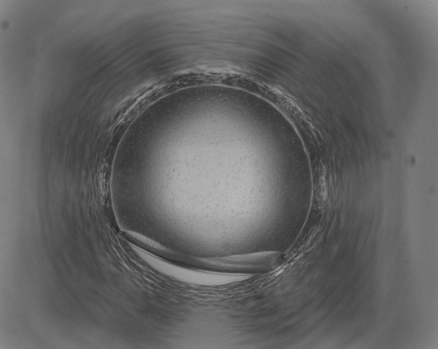 X0000083051110200702161724