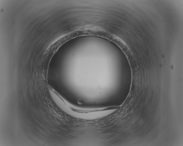 X0000083051112200702161724