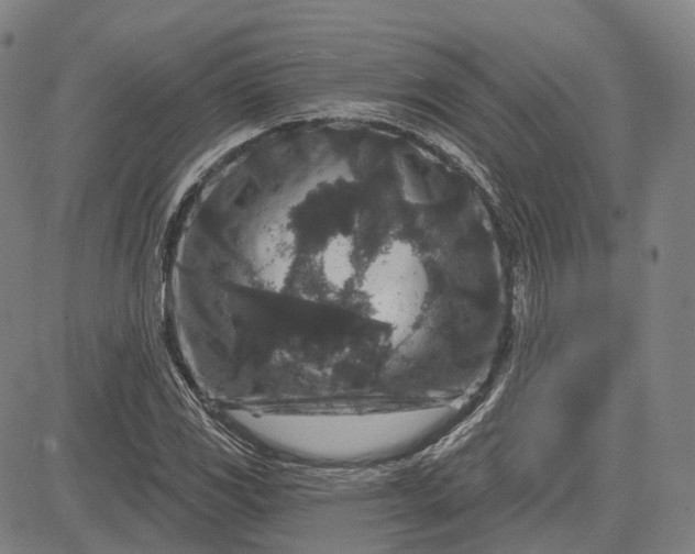 X0000083051117200702161724