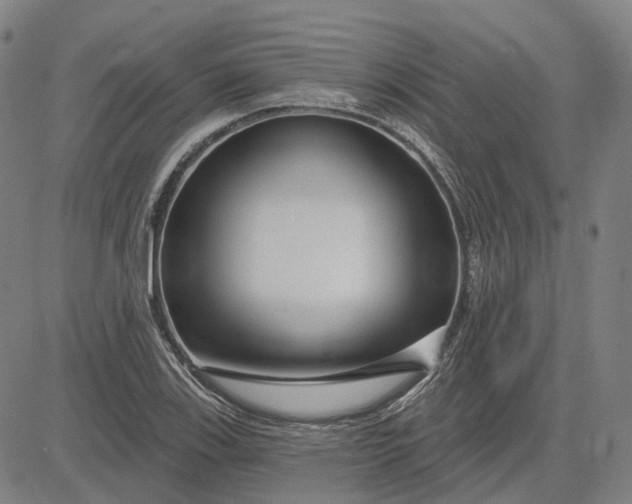 X0000083051123200702161725