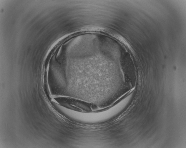 X0000083051124200702161725