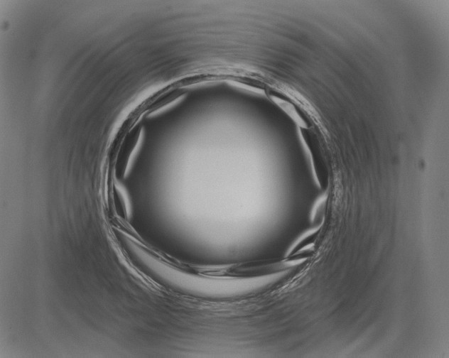 X0000083051128200702161725