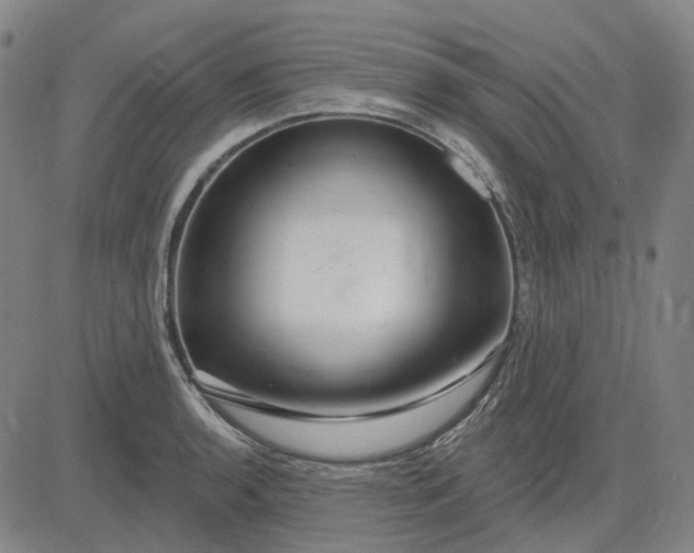 X0000083051136200702161725