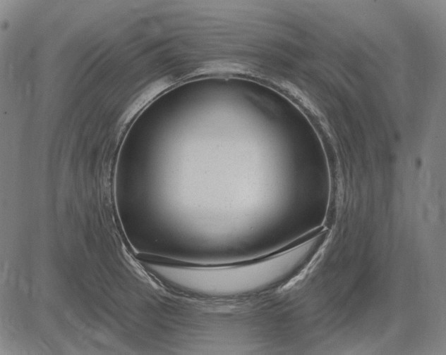 X0000083051137200702161725