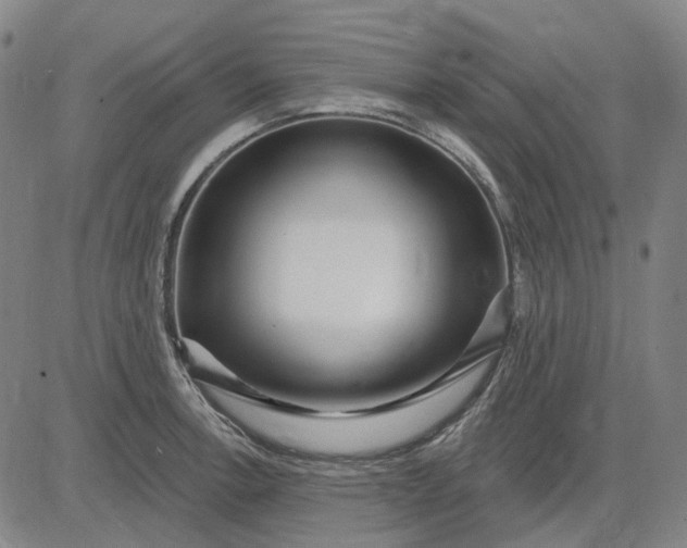 X0000083051138200702161725