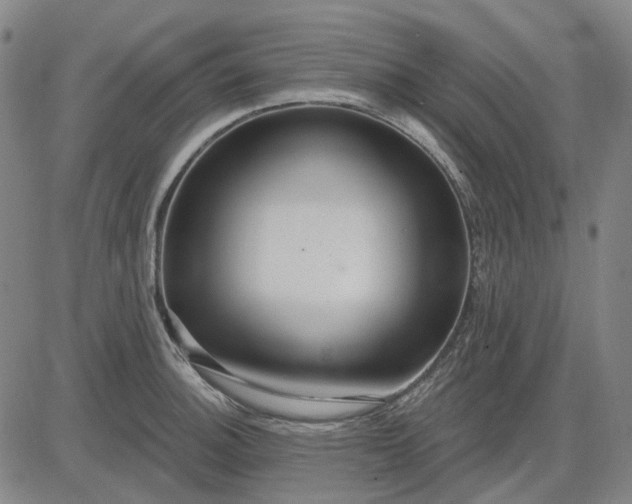 X0000083051140200702161725