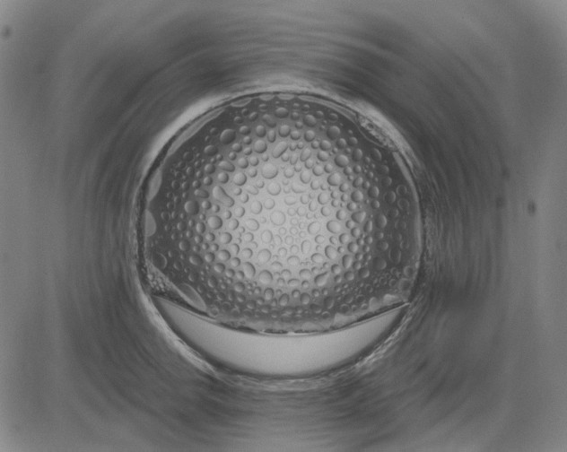 X0000083051142200702161725