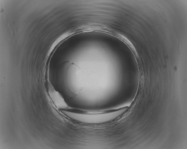 X0000083051146200702161725