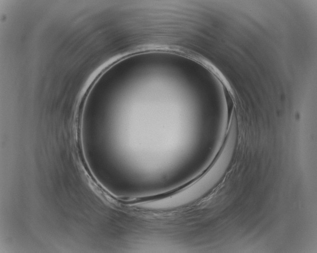 X0000083051148200702161725