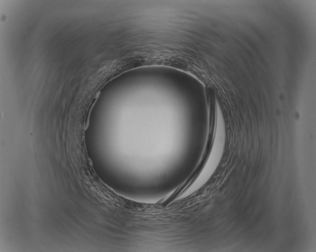 X0000083051153200702161724