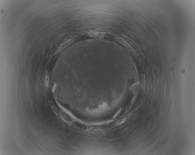 X0000083051154200702161724