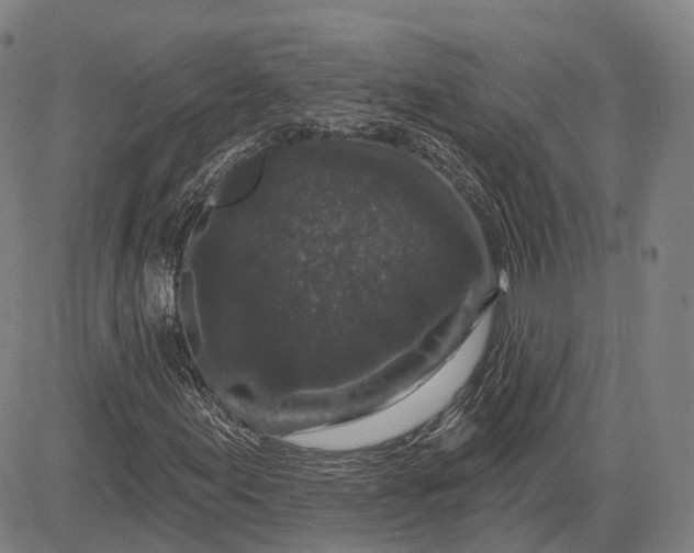 X0000083051155200702161724