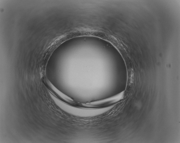 X0000083051157200702161724