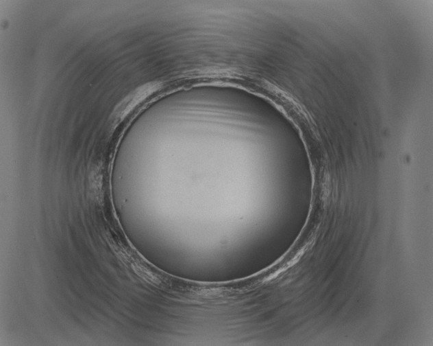 X0000083051162200702161724