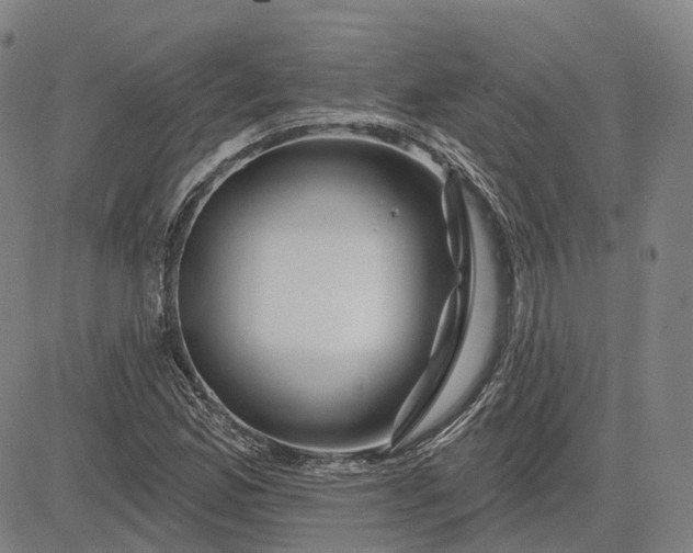 X0000083051165200702161724