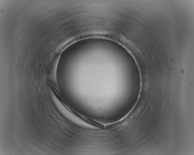 X0000083051169200702161724