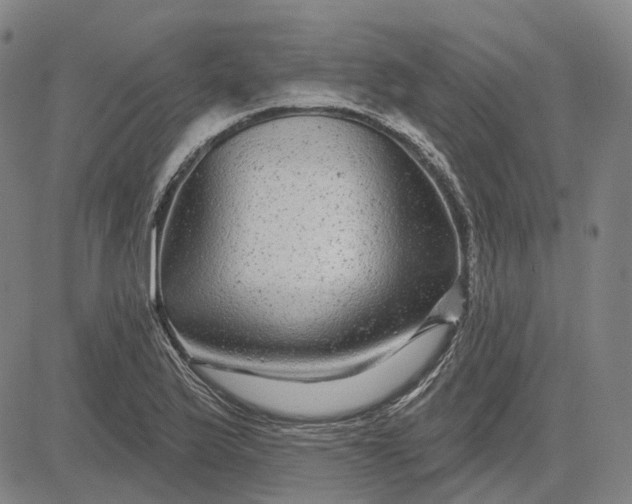X0000083051175200702161724