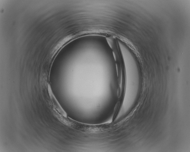 X0000083051177200702161724