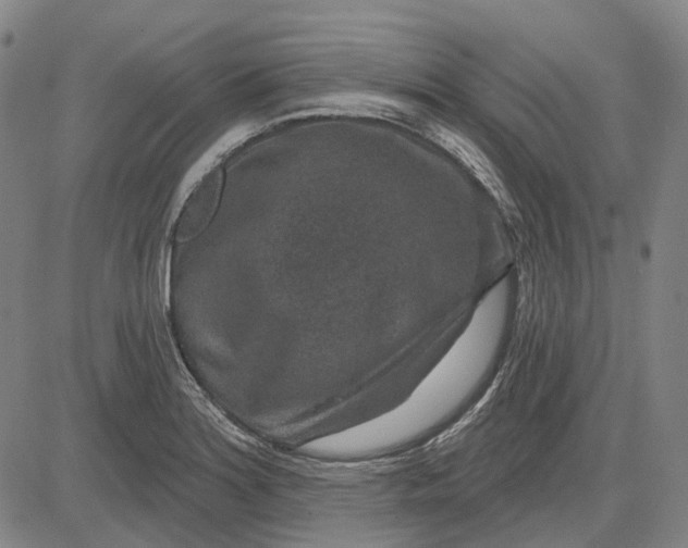 X0000083051180200702161724