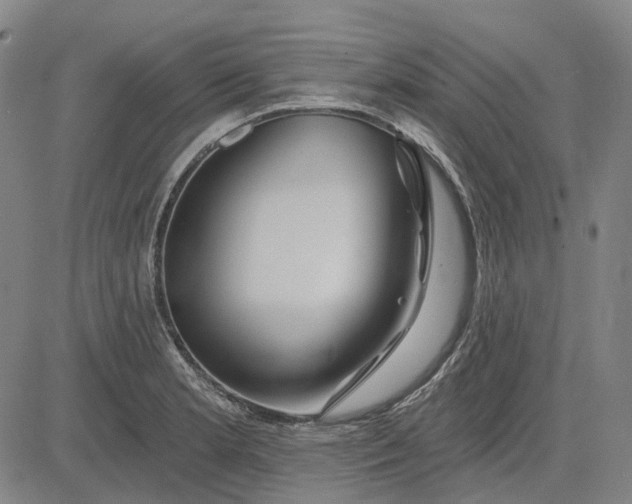 X0000083051181200702161724