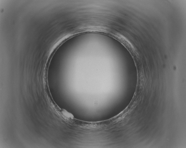 X0000083051182200702161724