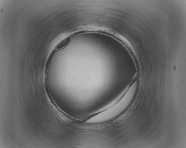 X0000083051183200702161724