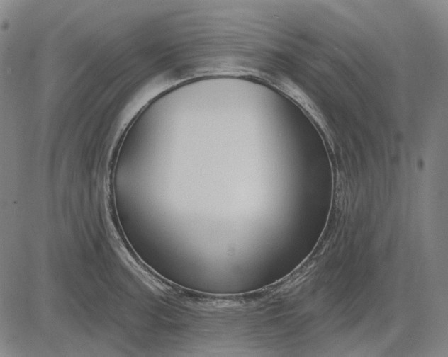X0000083051187200702161724
