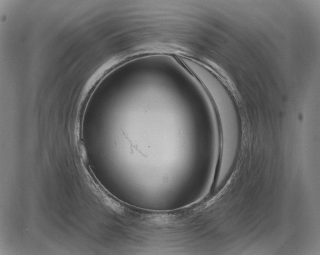 X0000083051188200702161724