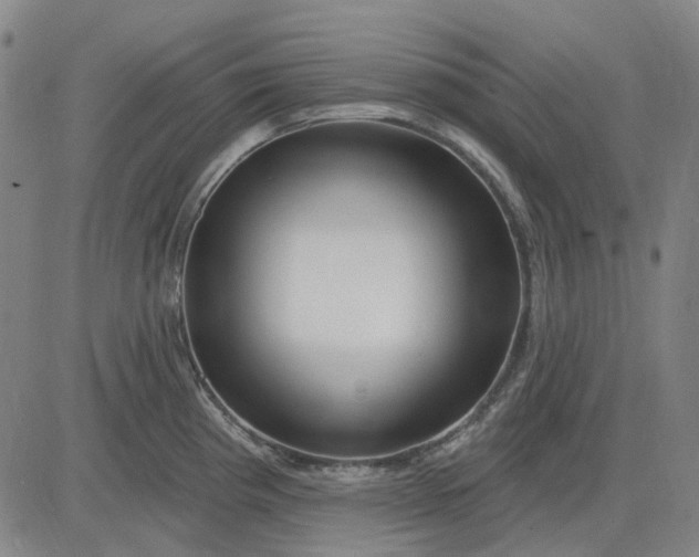 X0000083051193200702161724
