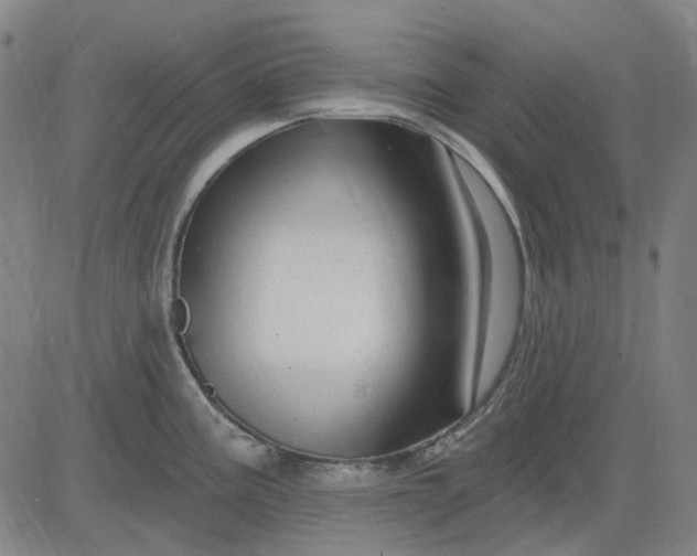 X0000083051195200702161724