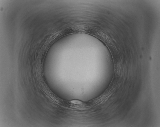 X0000083051201200702161723