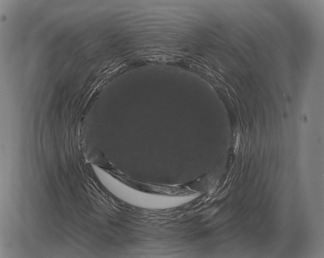 X0000083051202200702161723