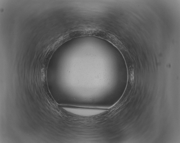 X0000083051204200702161723
