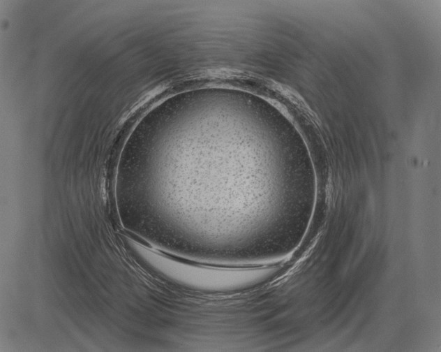 X0000083051209200702161723