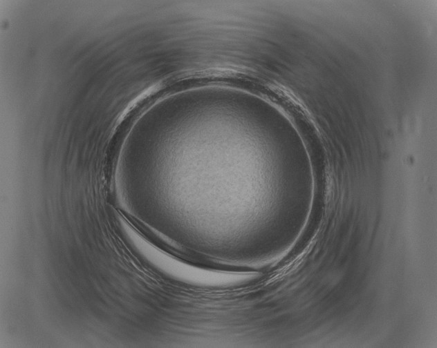X0000083051210200702161723