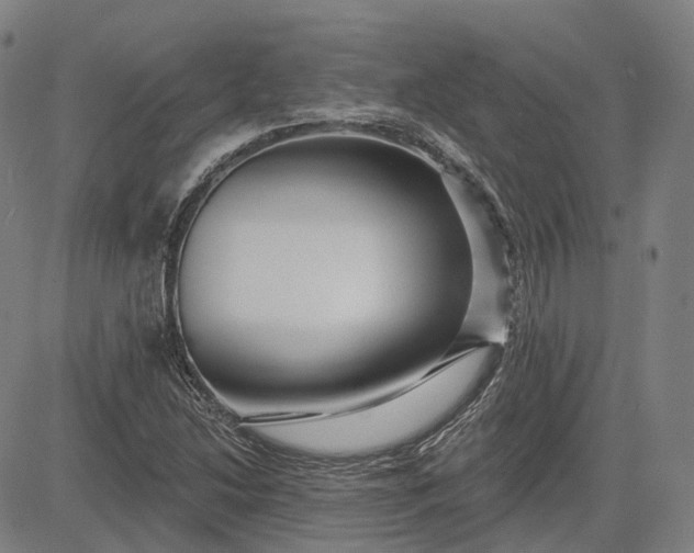 X0000083051214200702161723