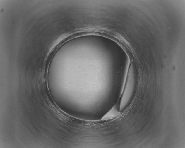 X0000083051216200702161723