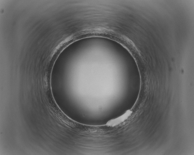X0000083051218200702161723