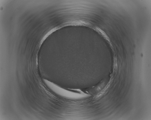 X0000083051226200702161723