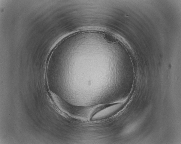 X0000083051228200702161723