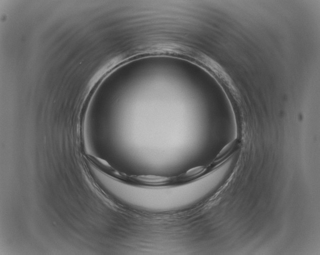 X0000083051234200702161723