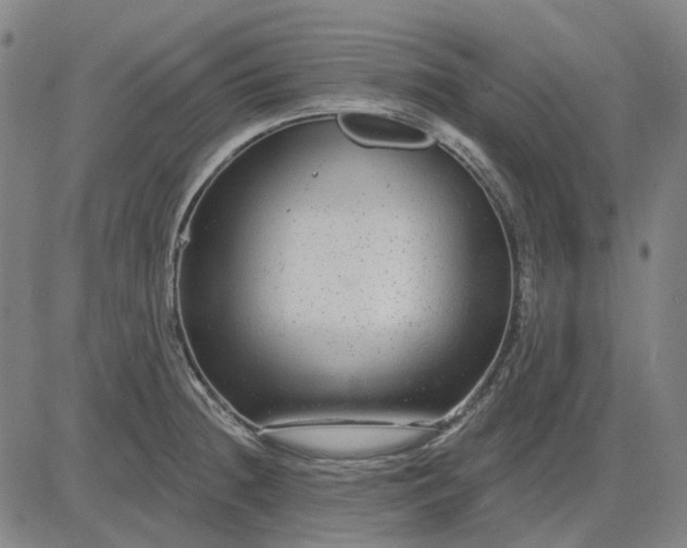 X0000083051236200702161723