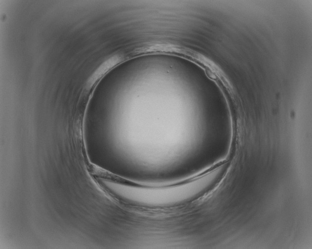 X0000083051241200702161723