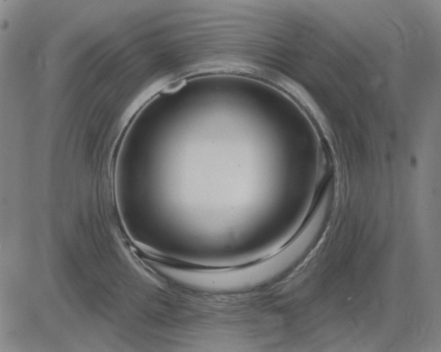 X0000083051242200702161723
