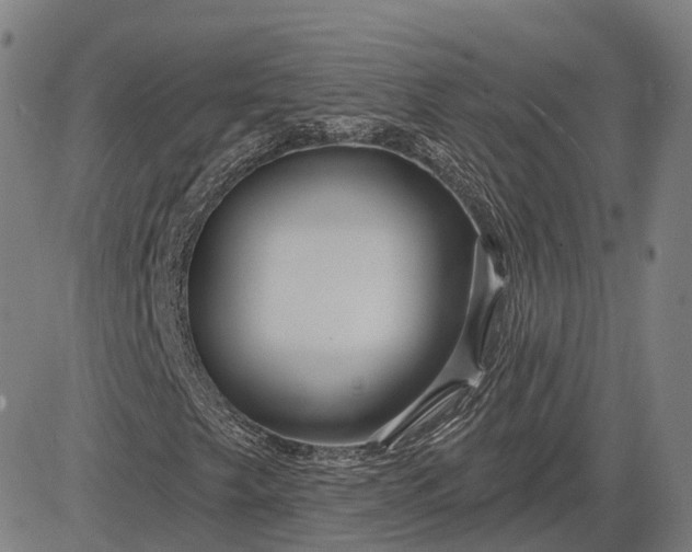 X0000083051249200702161723