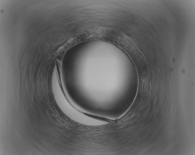 X0000083051250200702161723