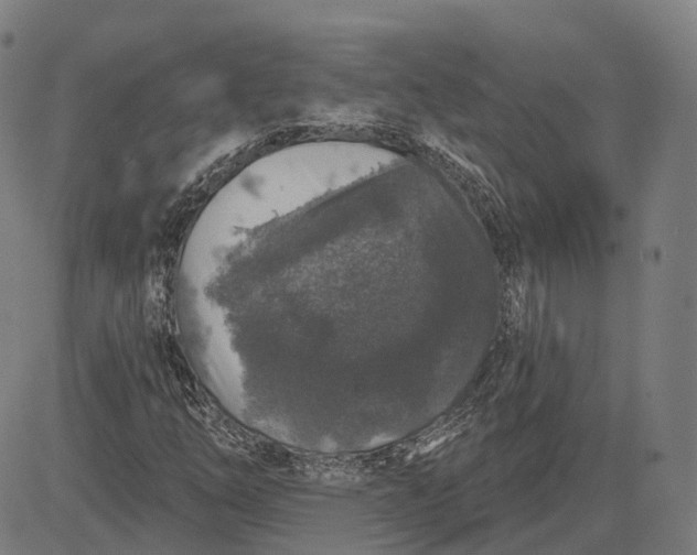 X0000083051254200702161723