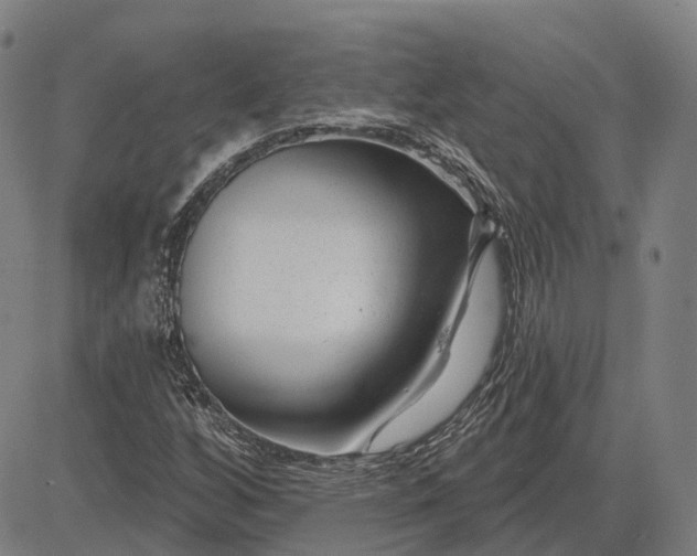 X0000083051256200702161723