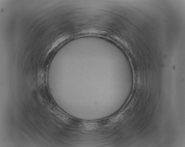 X0000083051258200702161723